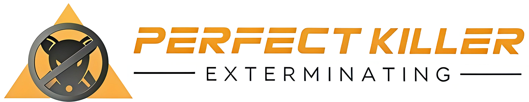 Perfect Killer  Logo